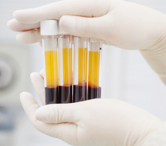 4 veils of plasma being examined by a scientist.